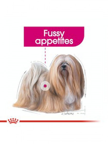 CCN EXIGENT 12X85G_web2